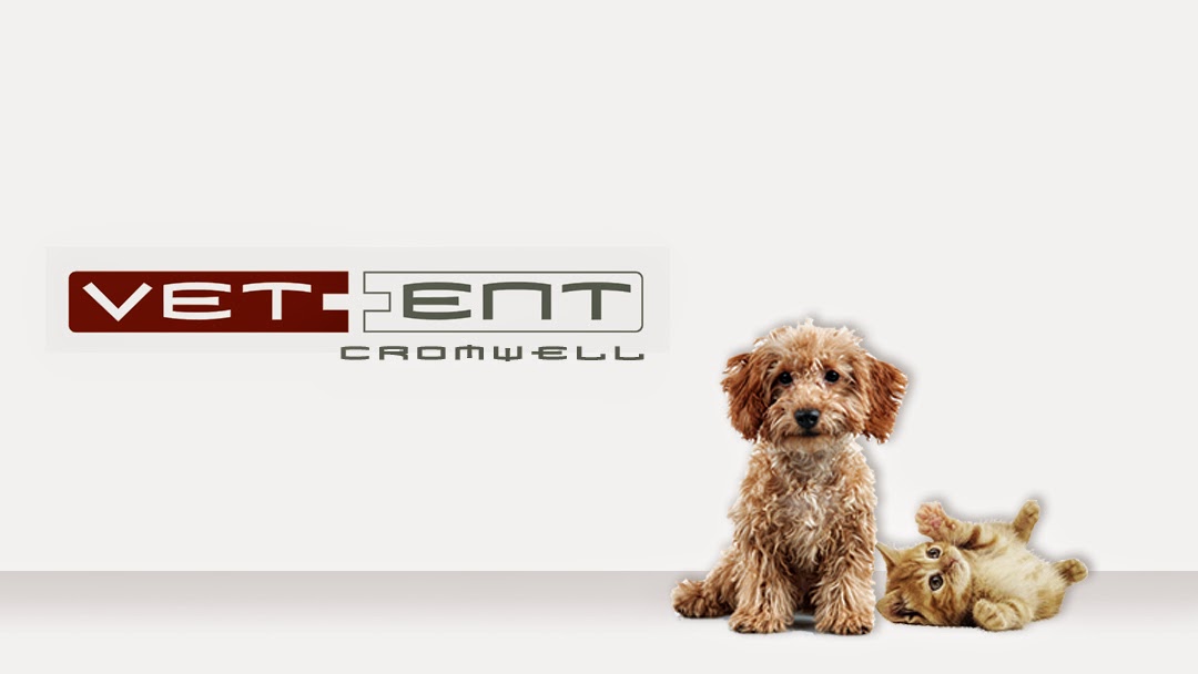 Vetent And Petfirst Veterinary Cromwell - Cromwell , New Zealand