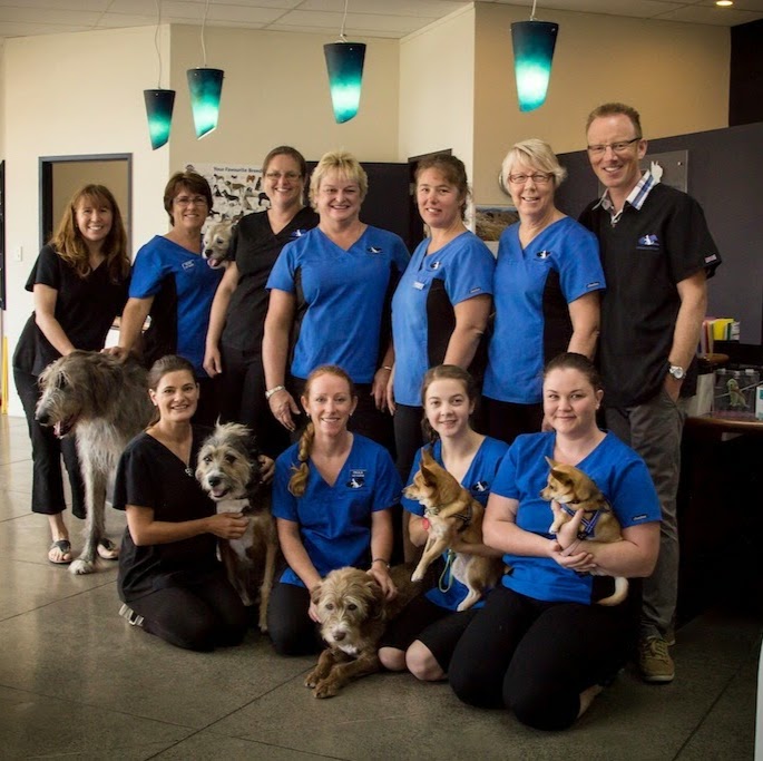 Orewa Beach Veterinary Clinic - Orewa , New Zealand
