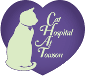 Cat Hospital At Towson - Baltimore , United States