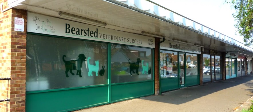 Medivet Bearsted - Maidstone , United Kingdom