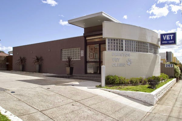 Preston Veterinary Clinic And Hospital - Preston , Australia