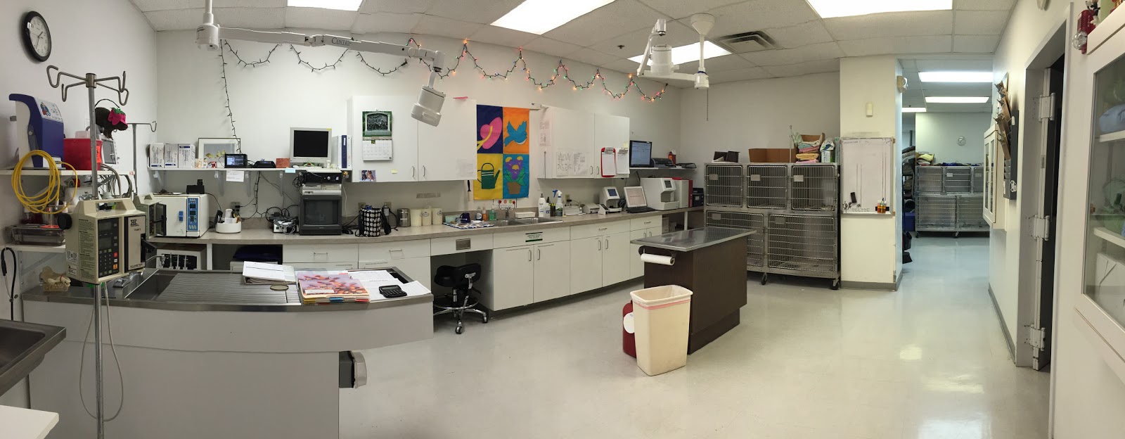 Milford Animal Hospital - Milford , United States