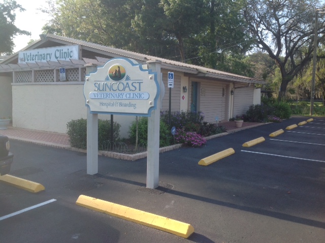 Suncoast Veterinary Clinic - Valrico , United States