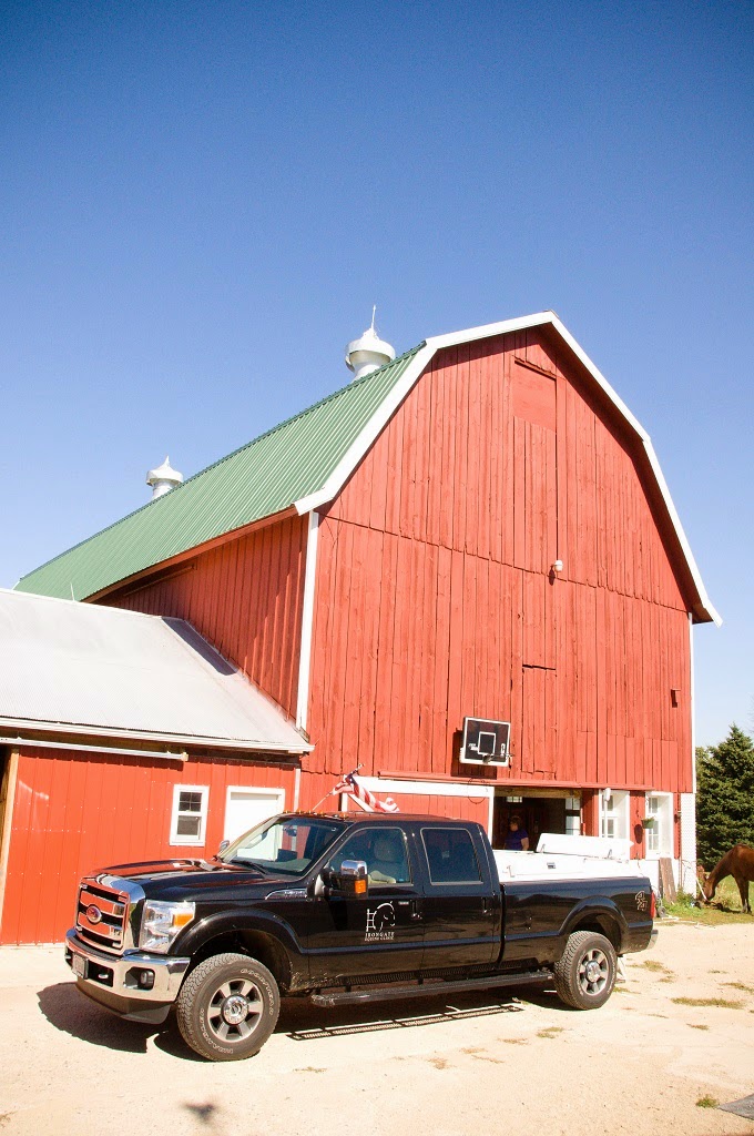 Irongate Equine Clinic - Madison , United States