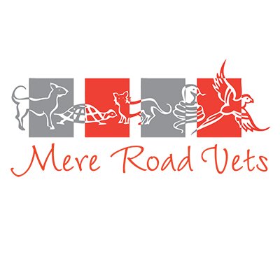 Mere Road Veterinary Surgery - Blackpool , United Kingdom