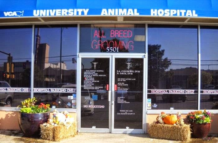 VCA University Animal Hospital - Dallas , United States