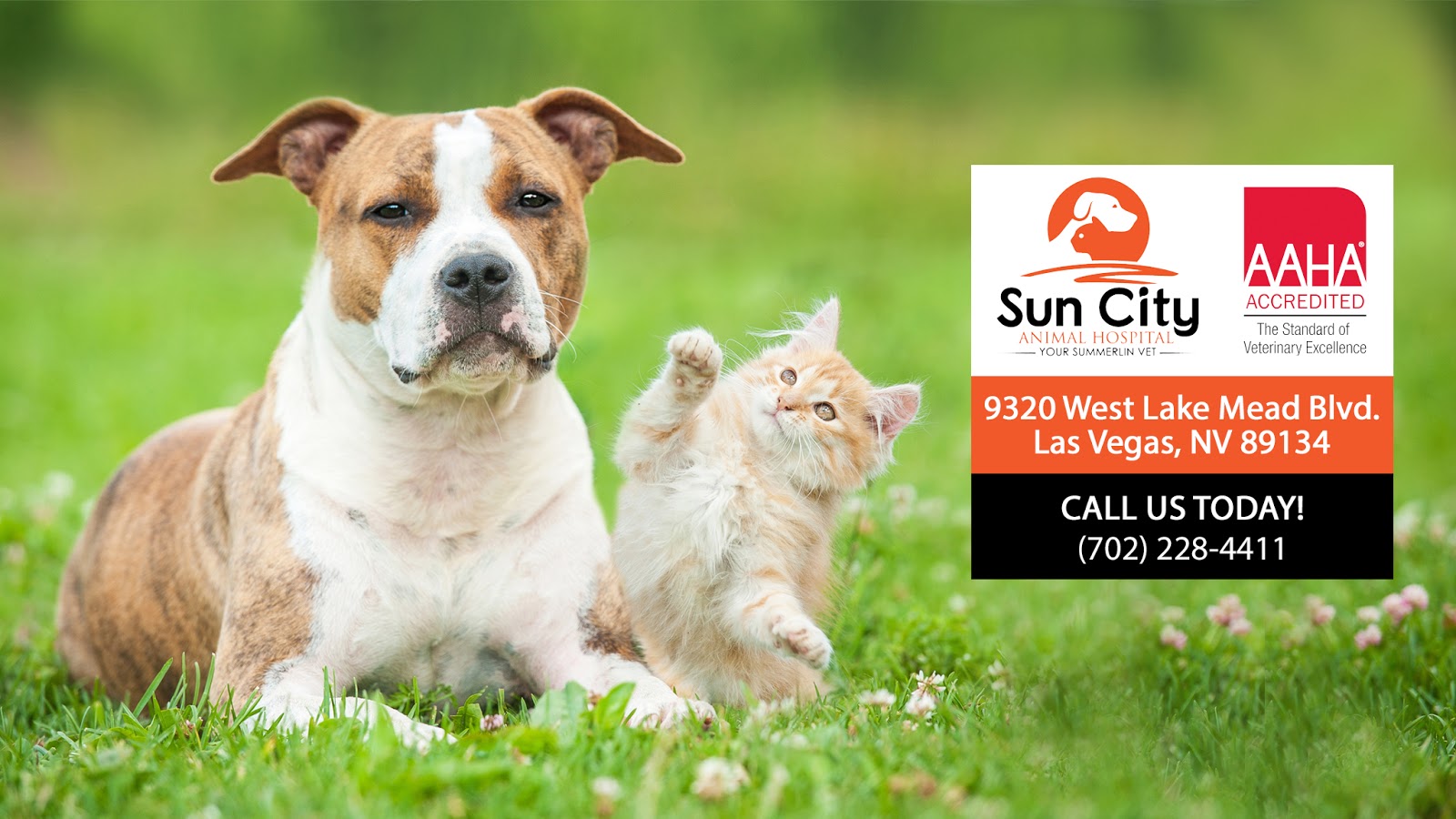Sun City Animal Hospital - Las Vegas , United States