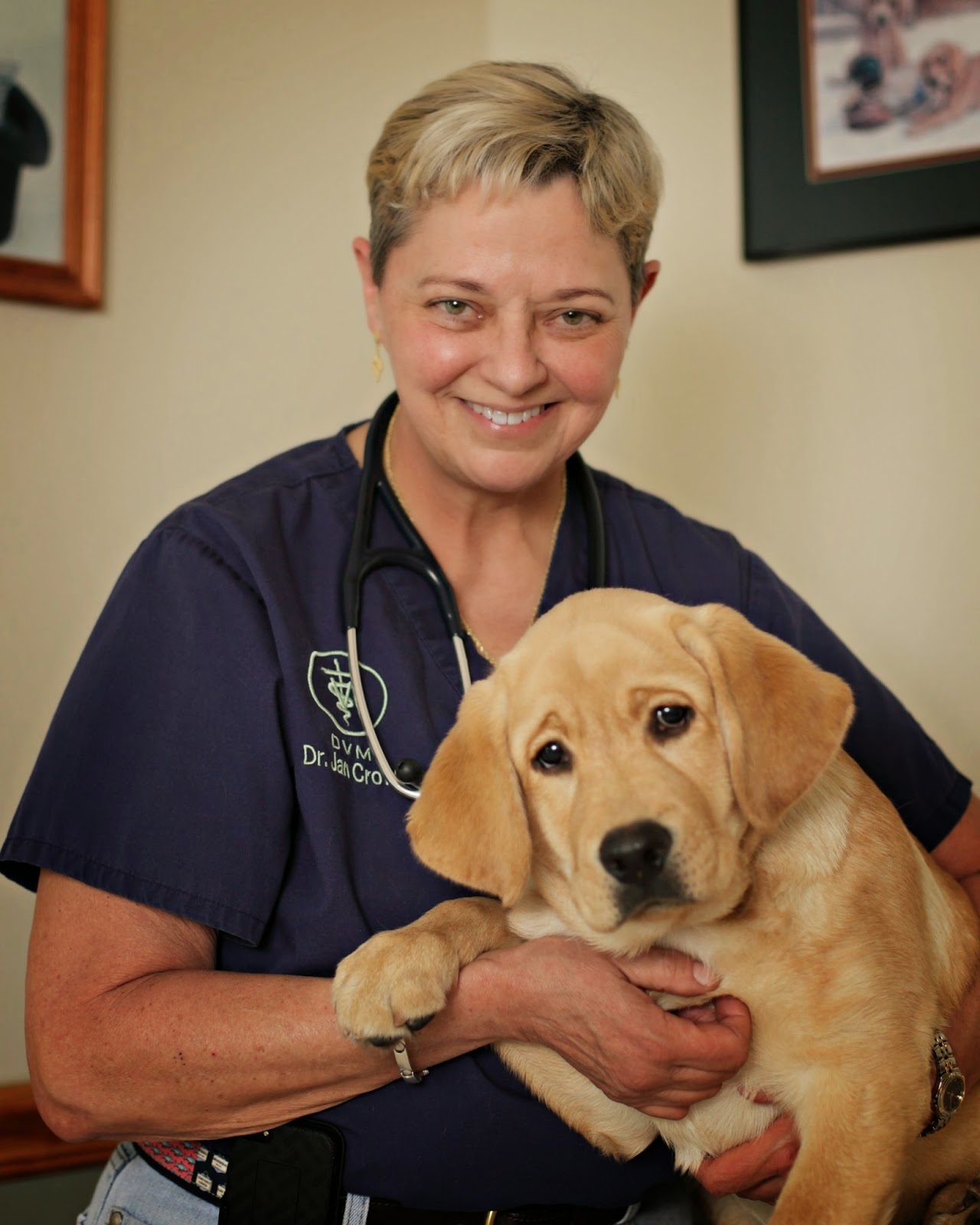 Creekside Vet Clinic - Goose Creek , United States