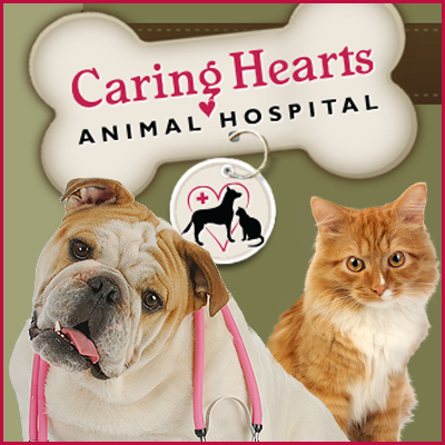 Caring Hearts Animal Hospital - Matthews , United States