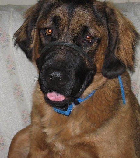 West Milton Veterinary Clinic - West Milton , United States