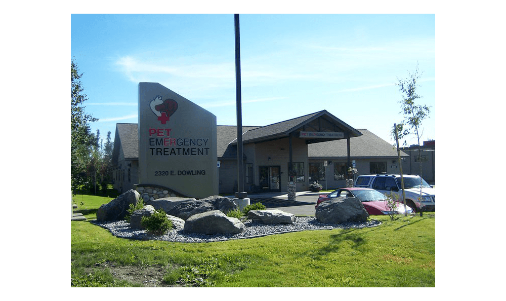 Pet Emergency Treatment - Anchorage , United States