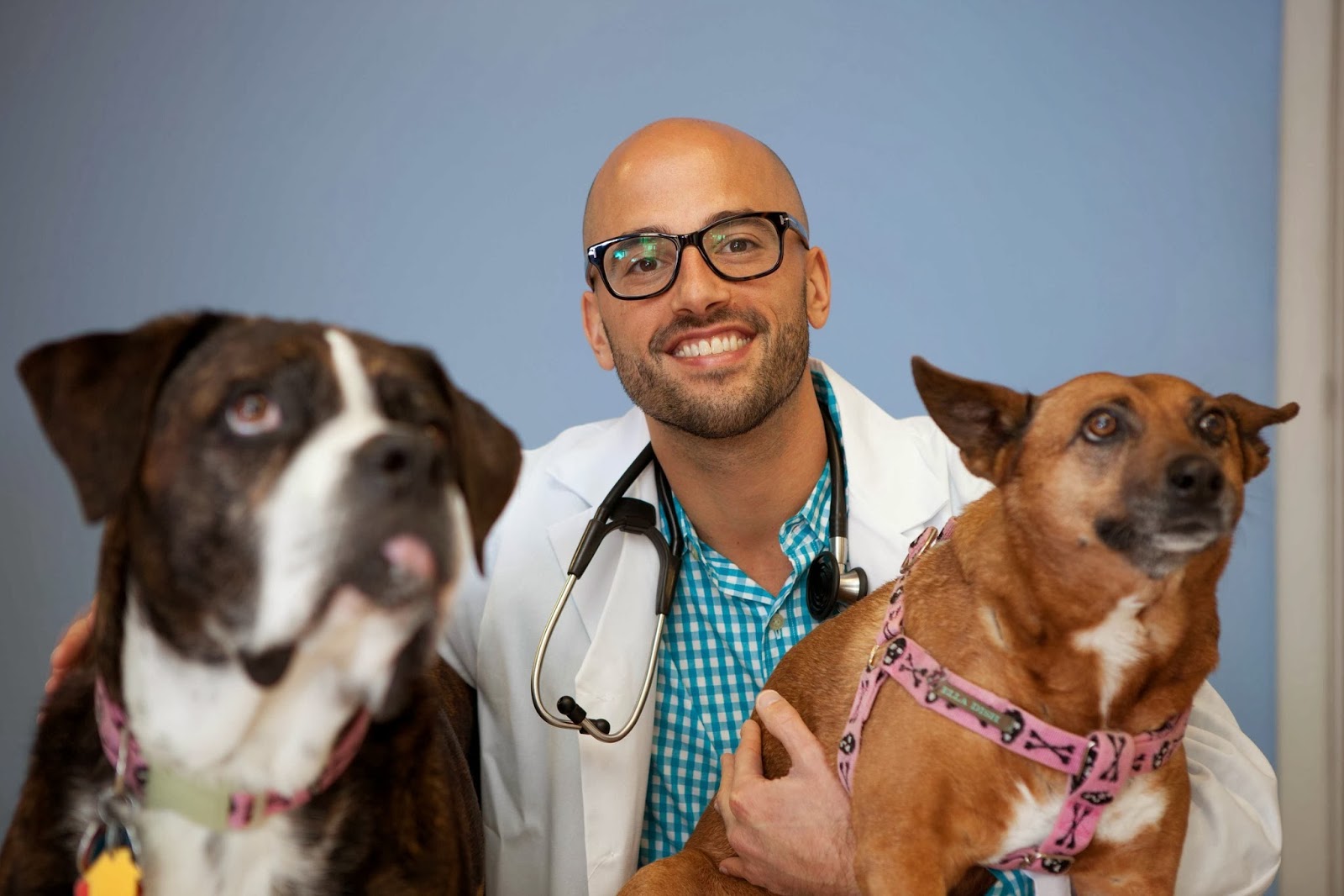 Sky Lake Animal Hospital - Miami , United States