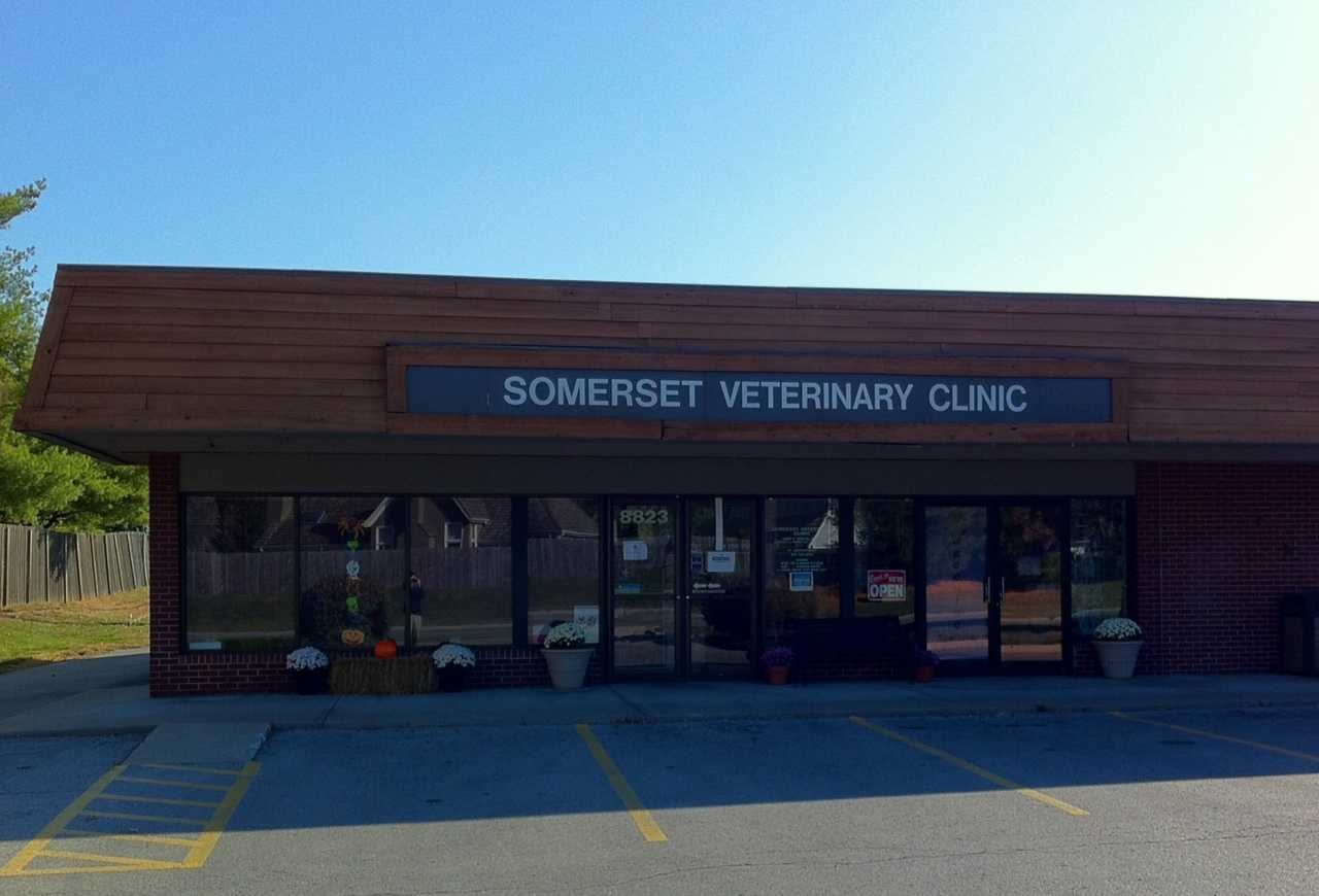Somerset Animal Hospital - Prairie Village , United States