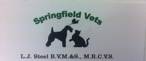 Springfield Vets - Blackburn , United Kingdom