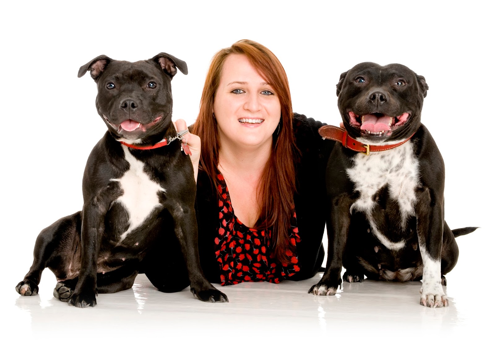 White Cross Vets - Liverpool , United Kingdom