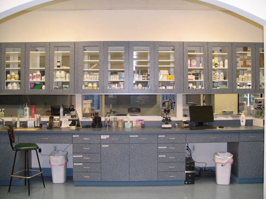 Prince Frederick Animal Hospital - Prince Frederick , United States