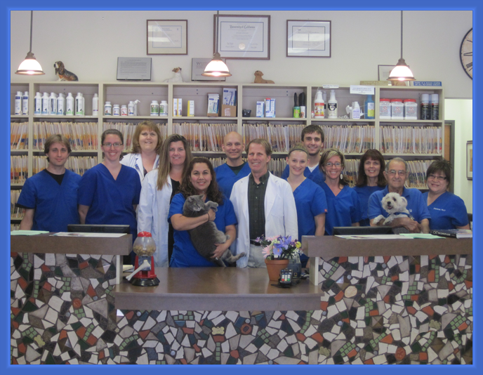 Del Mar Heights Veterinary Hospital - Del Mar , United States