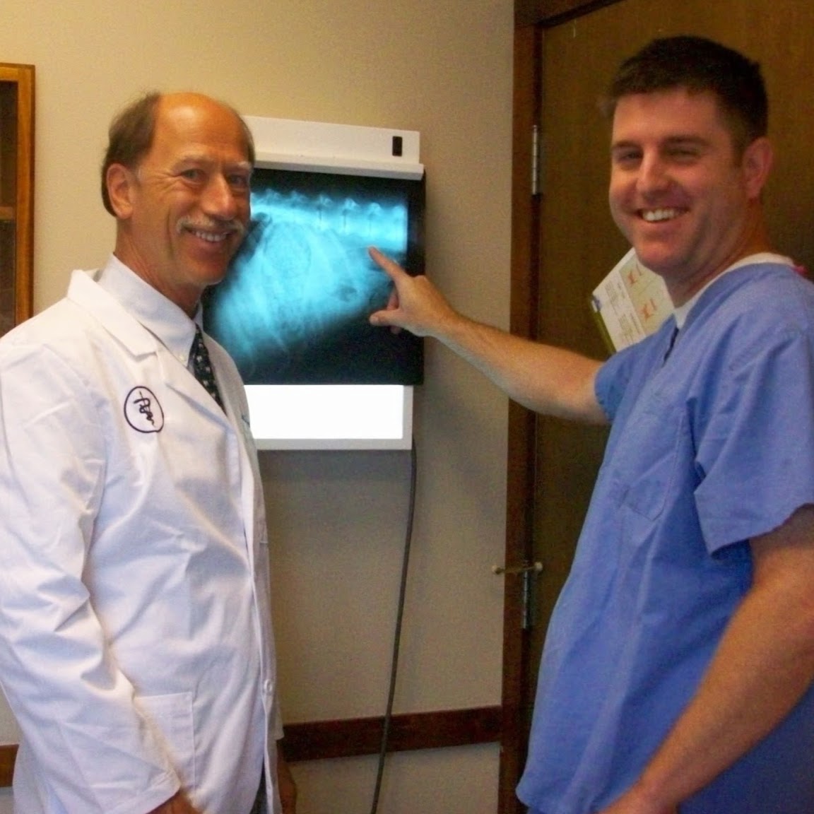 Ypsilanti Animal Clinic - Ypsilanti , United States