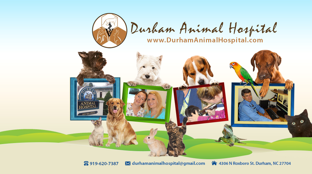 Durham Animal Hospital - Durham , United States