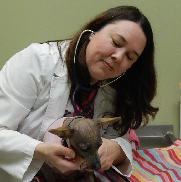Helping Hands Veterinary Clinic - Lynnwood , United States