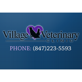 Village Veterinary Clinic - Grayslake , United States