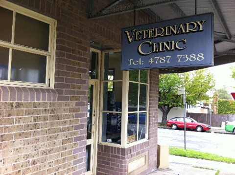 Blackheath Veterinary Clinic - Blackheath , Australia