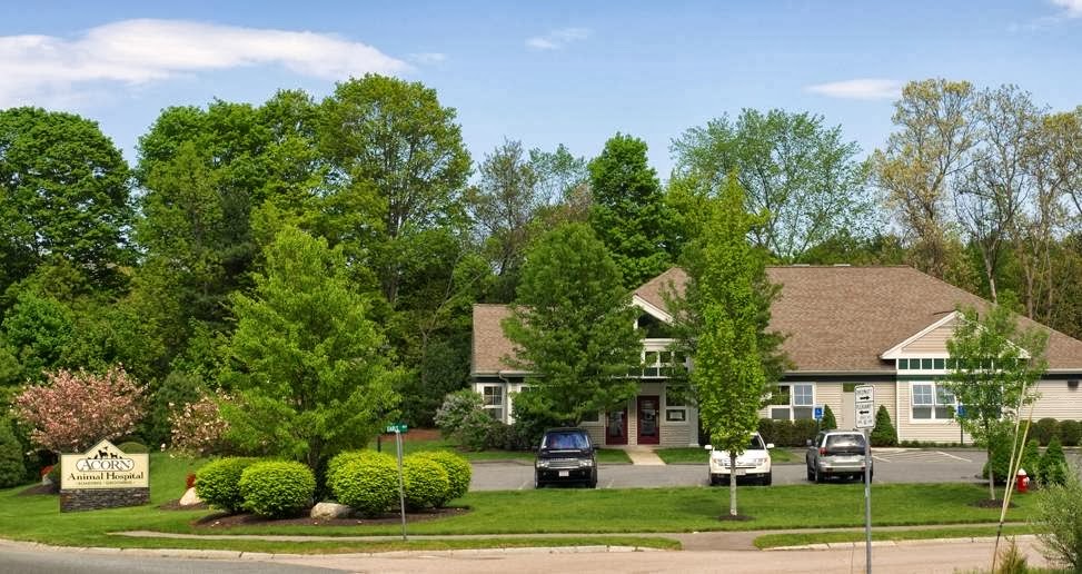 Acorn Animal Hospital - Franklin , United States