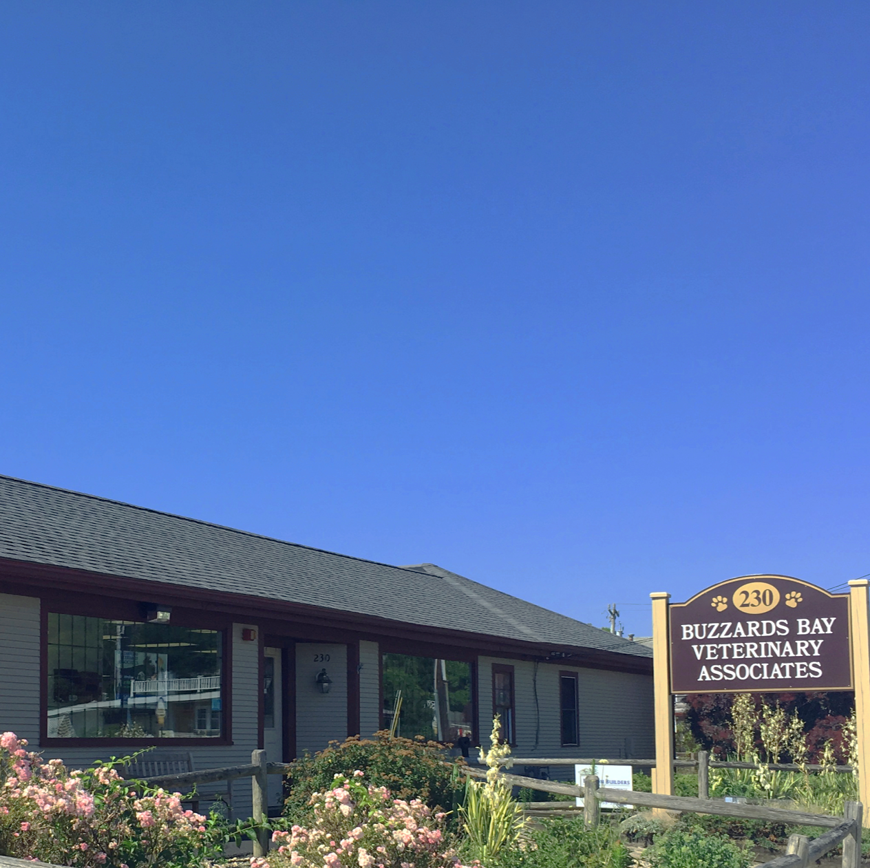Buzzards Bay Veterinary Associates - Buzzards Bay , United States