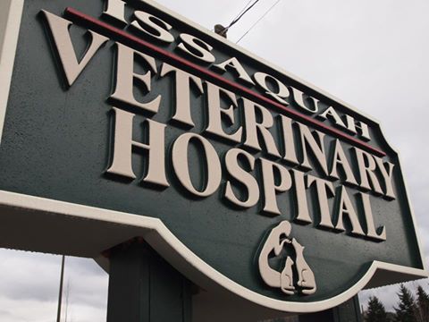 Issaquah Veterinary Hospital - Issaquah , United States