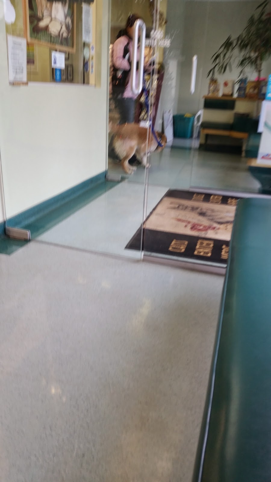 Vca Canada All West Animal Hospital - Saskatoon , Canada