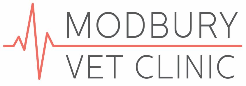 Modbury Veterinary Clinic - Modbury , Australia