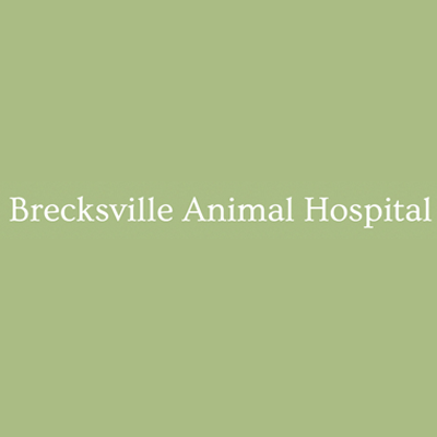 Brecksville Animal Hospital - Brecksville , United States