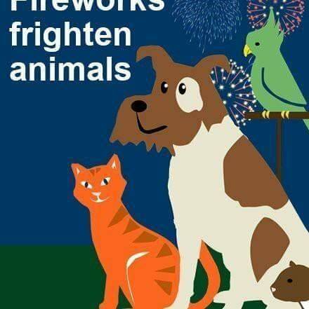 Buchan Veterinary Clinics Peterhead - Peterhead , United Kingdom