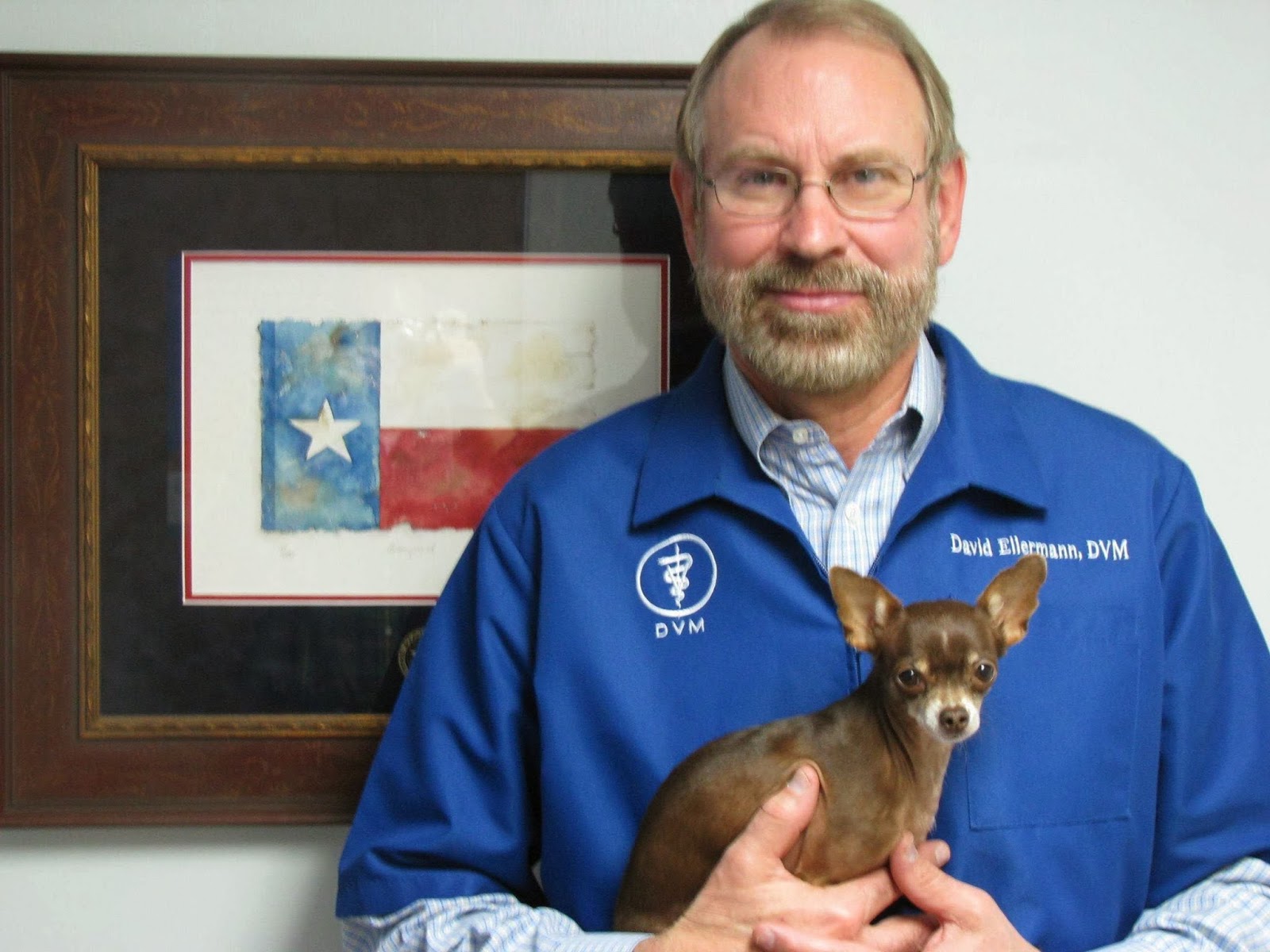 Stafford Veterinary Clinic - Stafford , United States