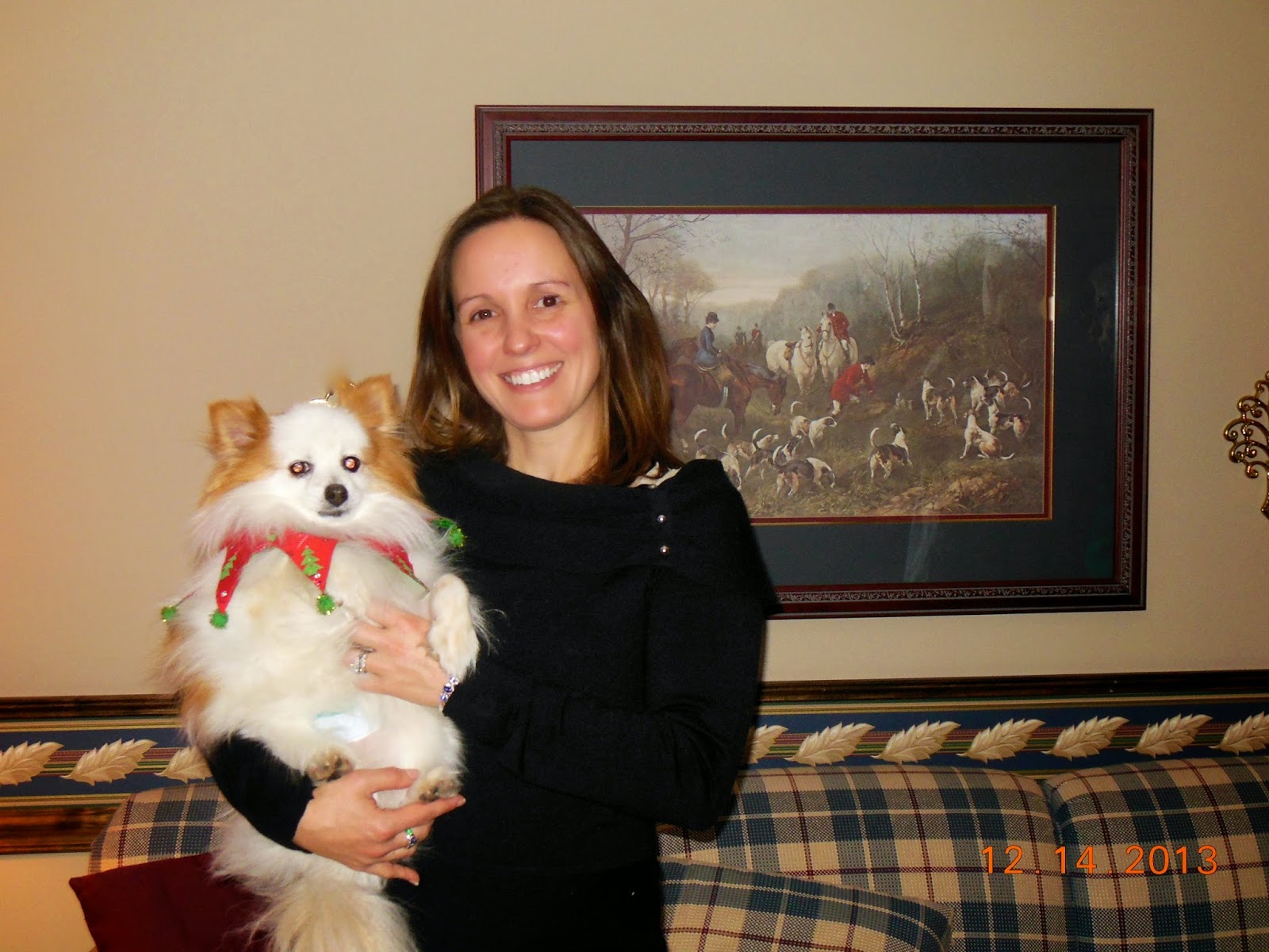 Animal Veterinary Center - Bear , United States