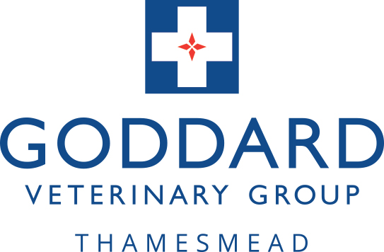Goddard Veterinary Group Thamesmead - London , United Kingdom