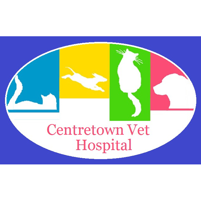 Centretown Veterinary Hospital - Ottawa , Canada