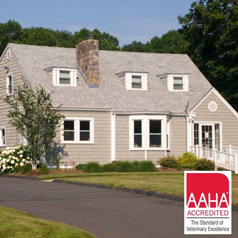 Animal Hospital Of Old Saybrook - Old Saybrook , United States