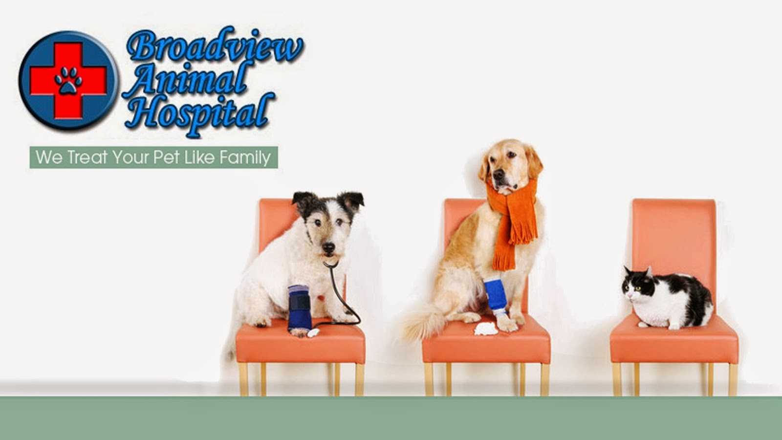 Broadview Animal Hospital - Broadview , United States