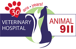 Animal 911 Clinique Veterinaire - L'Ile Bizard , Canada