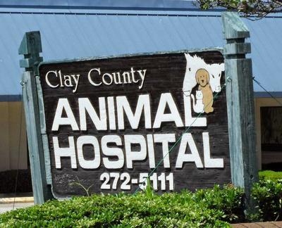 Clay County Animal Hospital, 332 Parkridge Avenue, Orange Park, Reviews