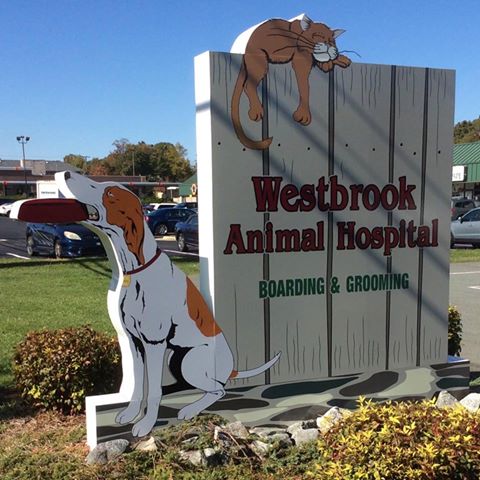 Westbrook Animal Hospital - Burlington , United States