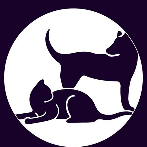 Brodheadsville Veterinary Clinic - Brodheadsville , United States