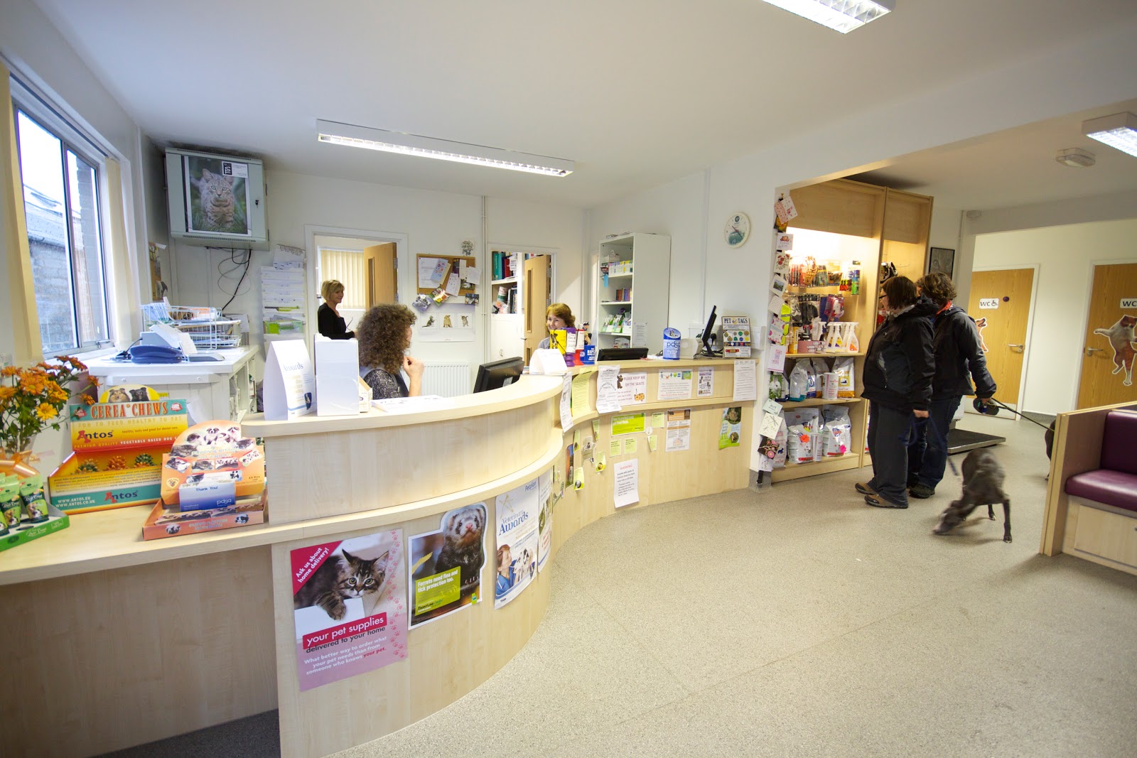 Priory Vets - Cardigan , United Kingdom