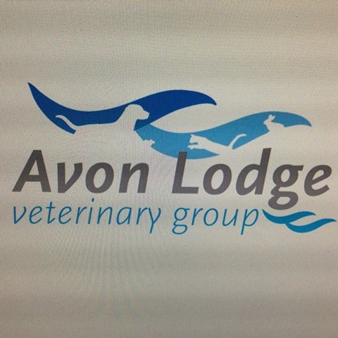 Avon Lodge Veterinary Group - Salisbury , United Kingdom
