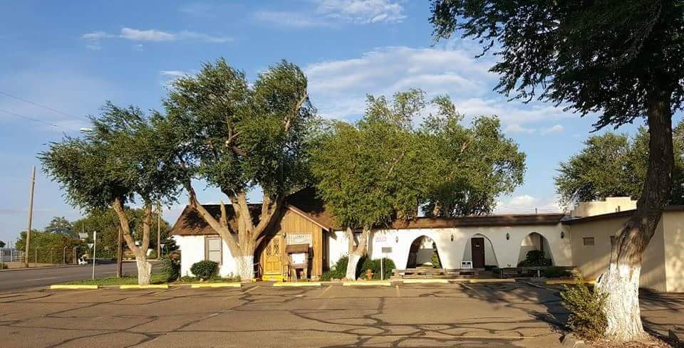 Amarillo Vet Clinic - Amarillo , United States