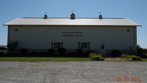River Basin Equine Veterinary - Cedar Rapids , United States