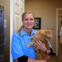 Hendersonville Animal Hospital - Hendersonville , United States