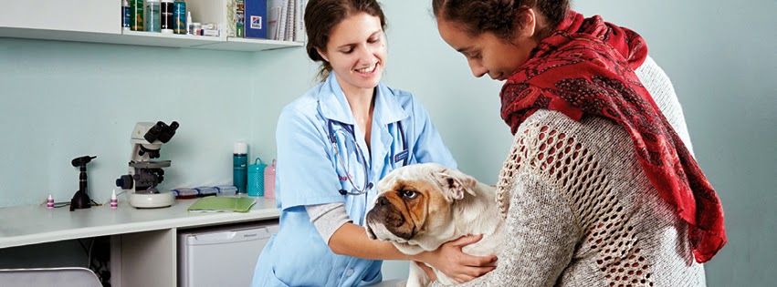 Gardens Pet Clinic And Spa - Cape Town , South Africa