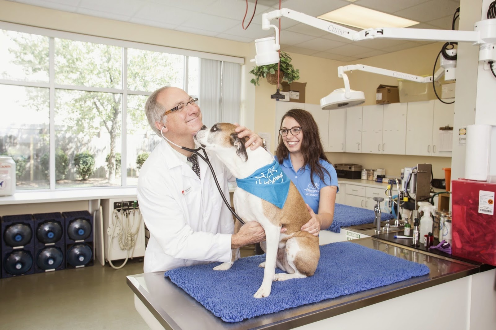 Hope Springs Veterinary At Great Bridge - Chesapeake , United States